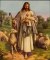 The Good Shepard