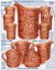 Lustre Rose Ad